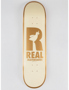 skateboard real